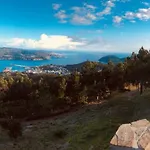 Centro * Вивейро